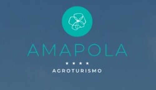 Logo Amapola 2021 S.L.