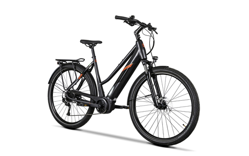 Angebot 310